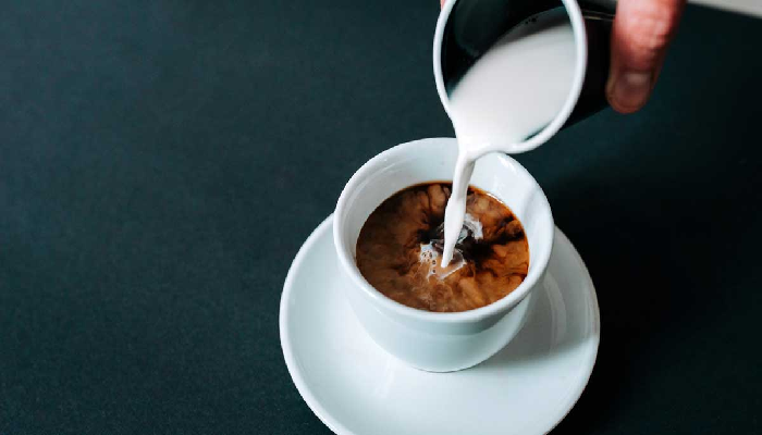 Coffee creamer for diabetics