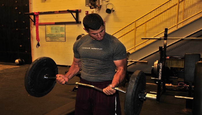 wellhealthorganic.com/how-to-build-muscle-know-tips-to-increase-muscles